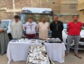 ضبط 172 طربة مخدرات بقيمة 1.3 مليون جنيه في الغربية