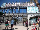 حديقة حيوانات لوس انجلوس تستقبل الزائرين بعد إعادة افتتاحها.. ألبوم صور