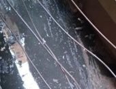 الشركة القابضة لمياه الشرب والصرف الصحى ترد على شكوى قرية غمرين بالمنوفية