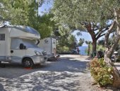 شجرة تقتل شقيقتين بسبب إعصار عنيف فى إيطاليا.. اعرف التفاصيل