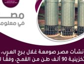 إنفوجراف.. صومعة غلال برج العرب قدرتها التخزينية 90 ألف طن قمح