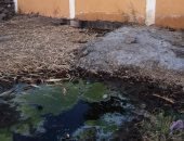 أهالى قرية كيمان المطاعنة بالأقصر يشكون طفح الصرف الصحى