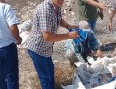 صور .. إعدام أسماك ولحوم مجمدة بالعريش لانتهاء صلاحيتها