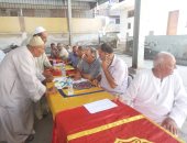 زراعة الغربية تعلن توفير 330 طن تقاوى بطاطس بجودة عالية للمزارعين