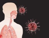 علماء يتوصلون لمعلومات جديدة حول طريقة غزو فيروس كورونا للجسم