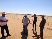 محافظ الوادى الجديد يتابع مشروع زراعة وإنتاج الزيتون فى منطقة أبو منقار .. صور 