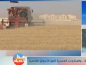 جمال صيام يؤكد صمود قطاع الزراعة أمام أزمة كورونا.. فيديو