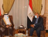 اتفاق مصرى بحرينى على الدعوة لوقف إطلاق النار بليبيا وتشكيل مجلس رئاسى جديد