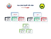 شمال سيناء تسجل صفر إصابات بفيروس كورونا وشفاء 4 حالات