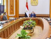 الرئيس السيسي يتابع التطورات التنفيذية للمشروع تطوير قرى الريف المصرى