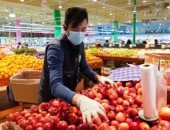 بلاش وسوسة.. 6 احتياطات "مبالغ فيها" للوقاية من كورونا اعرفها ومتعملهاش.. ارتداء القفازات بالسوبر ماركت ملوش لزوم.. تعقيم عبوات الطعام المجمدة غير مهم.. وحمامات السباحة آمنة