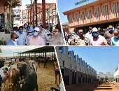 خريطة استثمارية جديدة فى أسوان.. استغلال الأراضى المميزة لإقامة جراجات ذكية.. وإنشاء مدينة خضراء بمساحة 4175 فدانا.. وأفكار لاستغلال موارد المحافظة من الرخام والجرانيت والأسماك والفوسفات والتمور.. صور