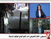 خبير فى اقتصاديات الطاقة يكشف مكاسب استخدام الغاز الطبيعى كوقود بديل