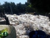 البيئة تضبط 240 طن مخلفات طبية وصلبة خطرة بكسارات بلاستيك بالدقهلية