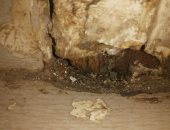 قارئة تستغيث خوفا من انهيار منزلها بالمطرية: تخرج منها المياه والثعابين تسكن الشقوق