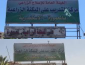 "زراعة الإسكندرية" تكشف حقيقة تعليق لافتة تحمل لفظ جنسى بالمعمورة