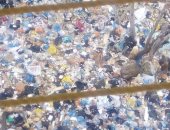 شكوى من انتشار القمامة فى شوارع المندرة قبلى بالاسكندربة 