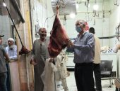 صور.. ضبط 4 آلاف و754 كجم لحوم ومنتجات غذائية فاسدة  بأسوان