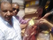ضبط لحوم وأسماك ومجمدات غير صالحة خلال حملة تموينية فى أسيوط (صور)