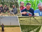 قطار التنمية الزراعية يواصل إسهاماته.. استصلاح الأراضى وإقامة الصوب وطفرة بالإنتاج الحيوانى والداجنى والسمكى.. الحفاظ على الرقعة الزراعية من التآكل.. و"كارت الفلاح" وإنشاء صوامع تخزين الحبوب