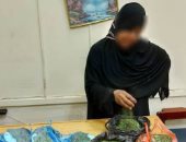 ضبط 8.5 من مخدر القات قبل تهريبها لداخل البلاد عبر مطار القاهرة
