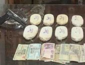 الداخلية تضبط 12 طربة حشيش في الدقهلية