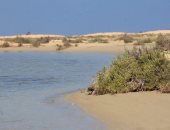 "محمية الزرانيق" كنز ثروات طبيعية على ساحل شمال سيناء.. تعرف عليها
