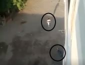 فيديو يرصد استغاثة طفل عقب مقتل والده "شهيد الشهامة" في الهرم