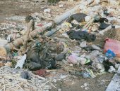 شكوى من تراكم القمامة بقرية نجير بمحافظة الدقهلية