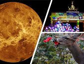 العالم هذا الصباح.. معالم برلين تتحول للوحات فنية مذهلة فى مهرجان الأضواء 2020.. اكتشاف غاز محير على كوكب "الزهرة" لم يتم العثور عليه من قبل.. وحرائق غابات كاليفورنيا لا تزال مشتعلة.. صور