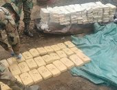 بوليفيا تصادر 44 طنا من المخدرات بقيمة 6 ملايين دولار خلال أسبوعين