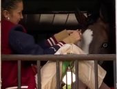 بيلا حديد فى أحدث 7 صور لها من داخل مزرعتها مع الخيول 