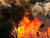 البرازيل تواجه أسوأ حرائق منذ 20 عاما وإعلان حالة "الكوارث" يفرض تدخل الجيش