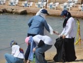 نادى المهندسين بالإسكندرية يشارك فى فاعلية اليوم العالمى لنظافة البيئة.. صور