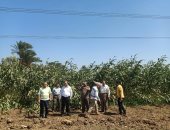 محافظ أسيوط : لجنة تسعير الأراضى تعاين على الطبيعة منظومة التقنين