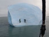 لحظة سقوط جبل جليدى على مغامرين فى القطب الشمالى.. فيديو
