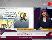 أستاذ علوم سياسية تعليقا على دعوات مظاهرات الإخوان " محدش راح الثورة "