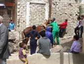 كيف تحولت قرية باب العبيد بغرب الإسكندرية من التهميش إلى التطور؟.. "حياة كريمة" بثت فى القرية الروح.. مبادرات وحملات توعية وتعليم حرف للمواطنين وإنشاء شبكة صرف صحى.. وإطلاق عيادات متنقلة وفصول محو أمية.. صور