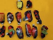 السعودية تعلن ضبط خلية إرهابية تدربت فى مواقع للحرس الثورى الإيرانى .. صور 