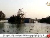 أهالى قرية دلهمو بالمنوفية: أكثر من 10 آلاف فدان غرقت بسبب زيادة منسوب النيل