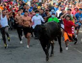 مصرع 3 أشخاص خلال مصارعة للثيران فى إسبانيا