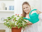 5 نباتات منزلية يمكن زراعتها في حمامك.. "ديكور طبيعي"