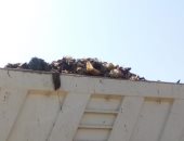 رفع نواتج تطهير ترع وإزالة المخلفات الصلبة بالقوصية خلال حملة فى أسيوط