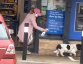سيدة بريطانية ترش كلب برذاذ مضاد للبكتيريا أمام مركز تسوق خوفا من كورونا