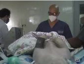 أطباء يستعينون بخنازير لتجربة أجهزة تنفس تستخدم مع مرضى كورونا في بنما
