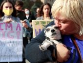 صور.. الأوكرانييون يتضامنون من أجل حقوق الحيوان فى مسيرة بالعاصمة