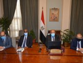 وزير الخارجية يدعو لوقف إطلاق النار فى ليبيا وتفكيك الميليشيات المسلحة