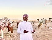 كبير ملاك الهجن: اهتمام الدولة بالهجن أَحْيا تربية الإبل وأتاح مئات فرص العمل.. صور