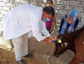 تحصين 79 ألف رأس ماشية بالشرقية ضد الحمى القلاعية والوادى المتصدع