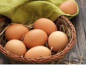 أخبار 24 ساعة.. "الزراعة": توفير أطباق البيض بأقل من 50 جنيها خلال أيام